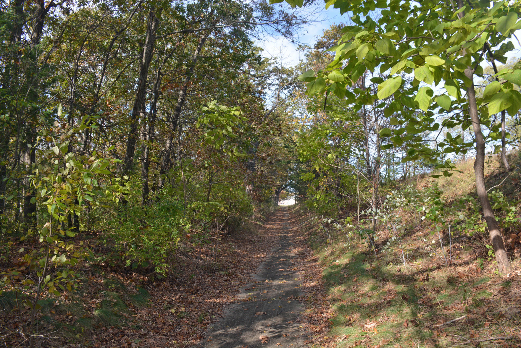 Camp Douglas 1
